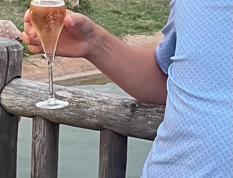Profil von Sacha, 36 Jahre, Gay in Meuspath (Rheinland-Pfalz)